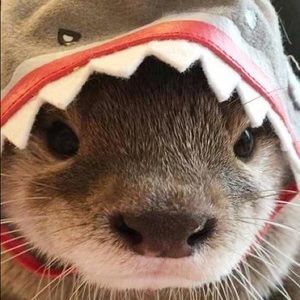 Meet your Posher, Adria